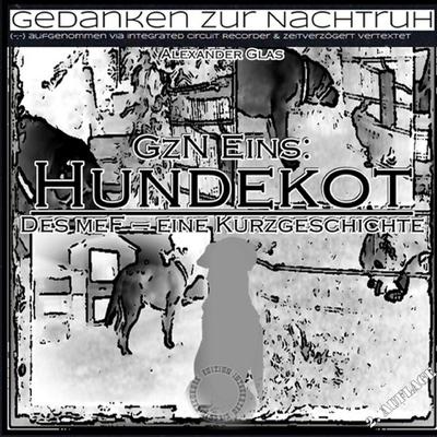 GzN Eins: Hundekot, Taschenbuch von Alexander Glas, Twentysix, 978-3-7407-2585-3