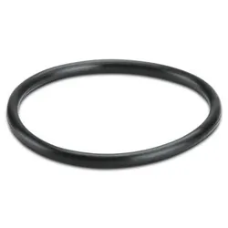 Phoenix Contact Dichtring WP-OR M40