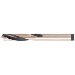 Forum Professional Solutions, Bohrereinsatz, Spiralb. D8037N HM 12,00mm FORUM (12 Millimeter)