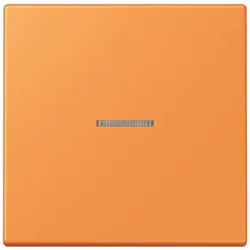 Jung Wippe mit Lichtleiter LC 101 KO5 225