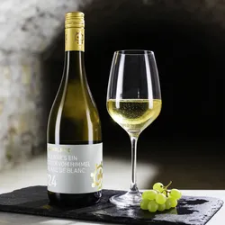 Hammel & Cie 2024 Hammel & Cie Als wäre es ein Stück vom Himmel 2024 Gewürztraminer,Grüner Veltliner,Muskat,Scheurebe,Silvaner Deutschland