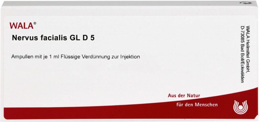 Nervus Facialis Gl D5 Ampullen