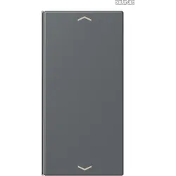 Jung LC402TSAP202 Taste 2-fach Pfeil LC32010