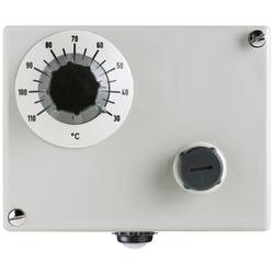 Jumo 60003332 2-Punkt-Regler Doppelthermostat 575 °C (max.) Relais 10 A
