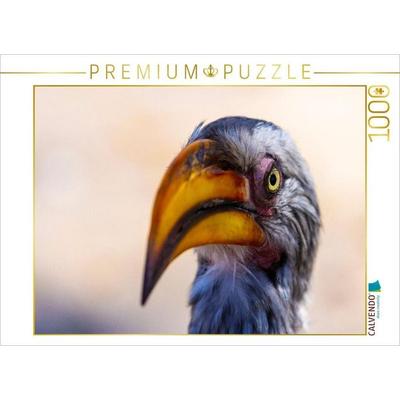 CALVENDO Puzzle Neugieriger Gelbschnabeltoko in Botswana | 1000 Teile Lege-Größe 64x48cm Foto-Puzzle für glückliche Stunden
