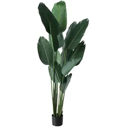 Kunstpflanze Banane (BH 50x185 cm) - BH 50x185 cm