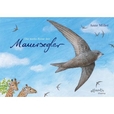 Die weite Reise der Mauersegler, Gebundene Ausgabe von Anne Möller, Atlantis Kinderbuch, 978-3-7152-0622-6