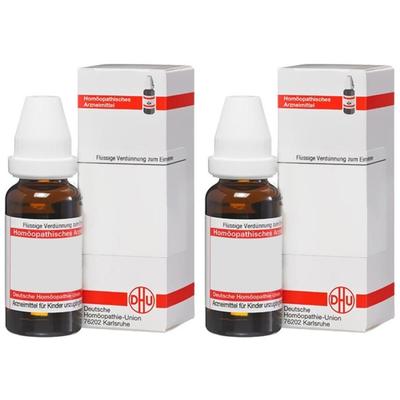 Aesculus Urtinktur 2x 2x20 ml Dilution