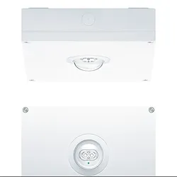 Zumtobel Group Sicherheitsleuchte RESPRO MSC #42937874