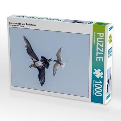 CALVENDO Puzzle Seeschwalbe und Raubmöwe 1000 Teile Puzzle quer | 1000 Teile Lege-Größe 64 × 48 cm Foto-Puzzle für glückliche Stunden