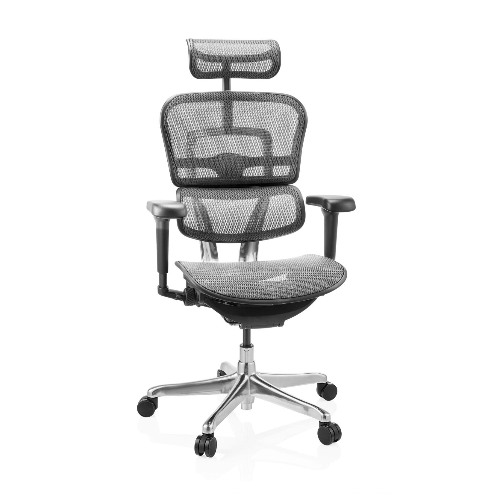hjh OFFICE Luxus Chefsessel ERGOHUMAN ULTRA GEN2 Netzstoff mit Armlehnen (höhenverstellbar)