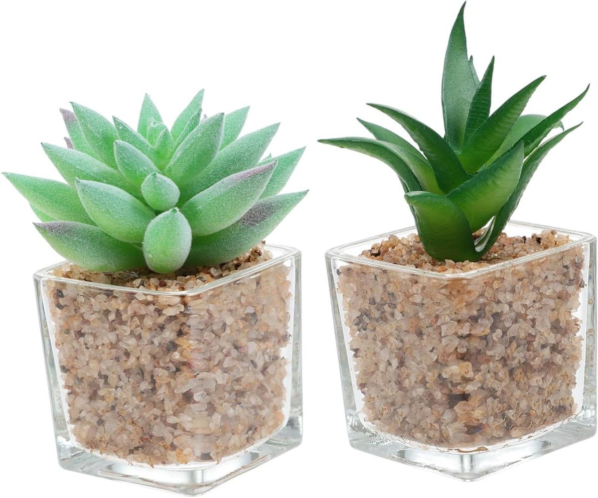 Set van realistische mini vetplanten in pot, Groen, Hoogte: 11 cm
