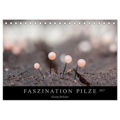 FASZINATION PILZE 2027 (Tischkalender 2027 DIN A5 quer), CALVENDO Monatskalender