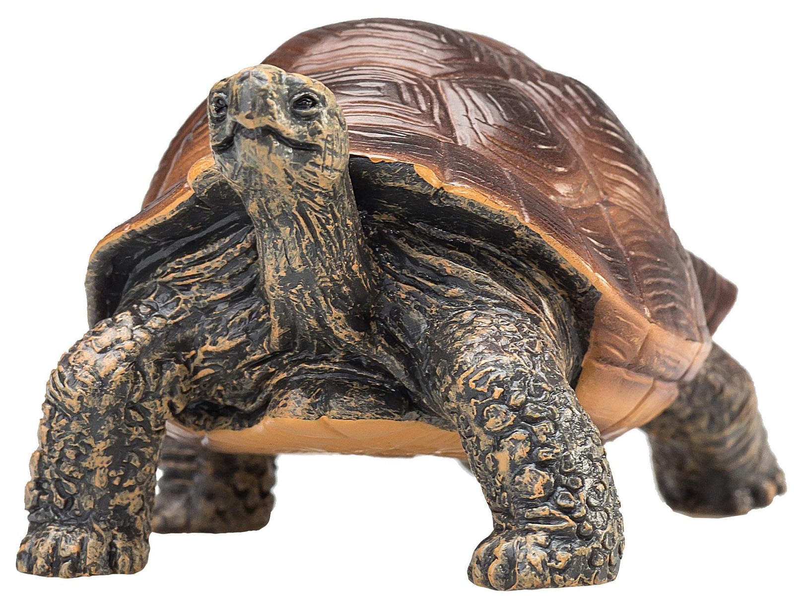 Animal Planet Reuzenschildpad knuffel