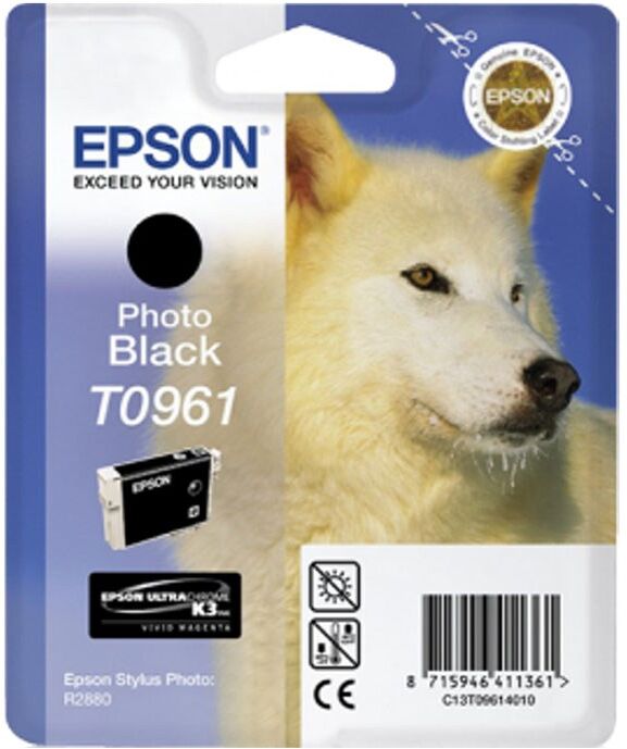 TINTEIRO EPSON R2880 BK