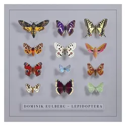Indigo Press, Schallplatten, Lepidoptera (Dominik Eulberg)