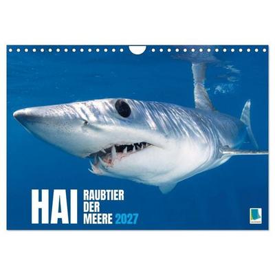 Hai: Raubtier der Meere (Wandkalender 2027 DIN A4 quer), CALVENDO Monatskalender