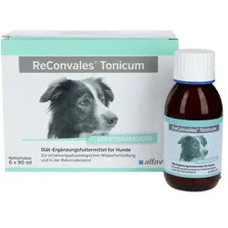 RECONVALES Tonicum für Hunde 6X90 ml