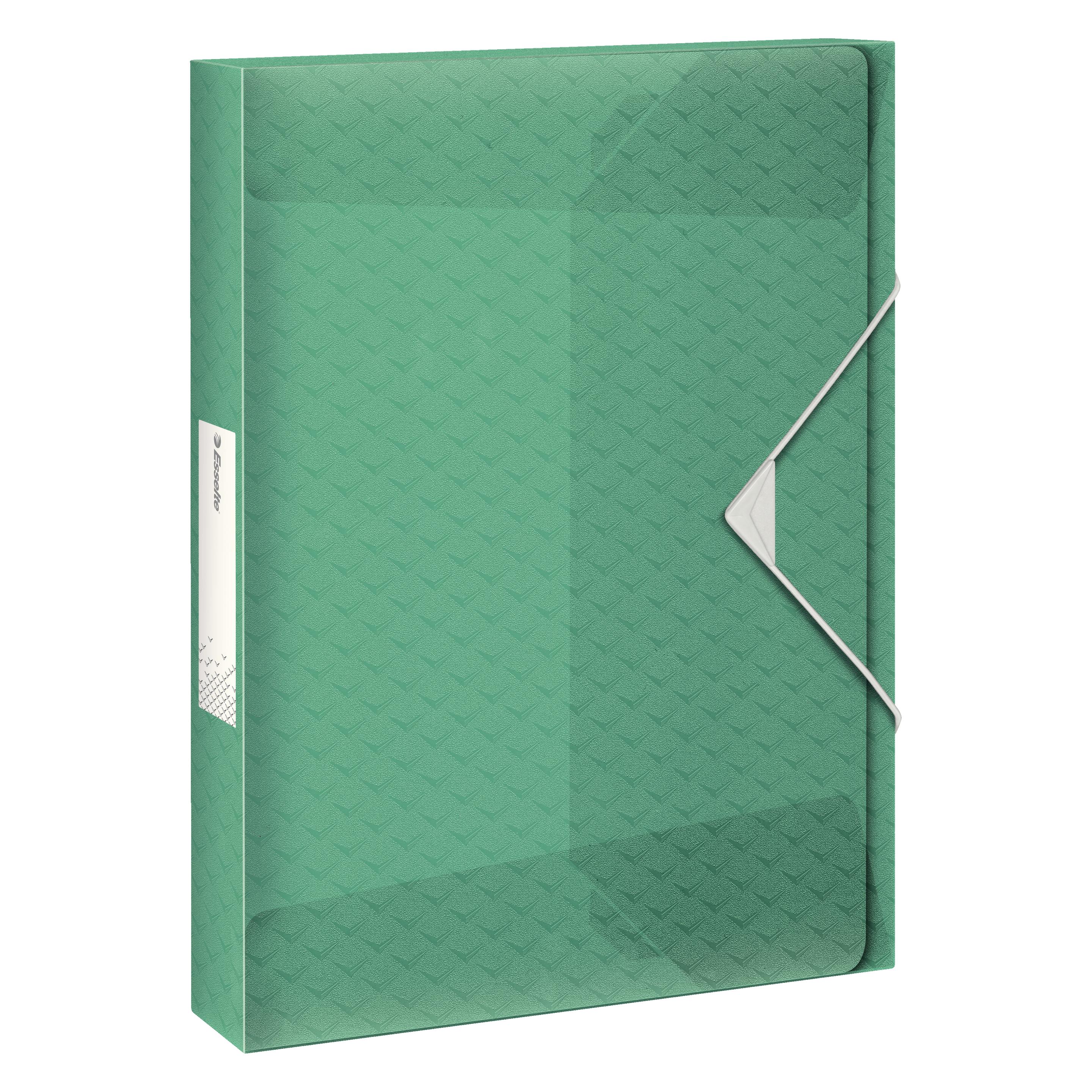 Esselte Ablagebox (A4, 1x) (626260)