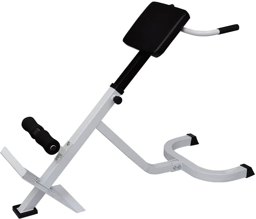 vidaXL Banc de musculation du dos