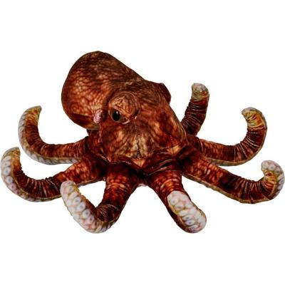 Oktopus Nature Zoom Wild