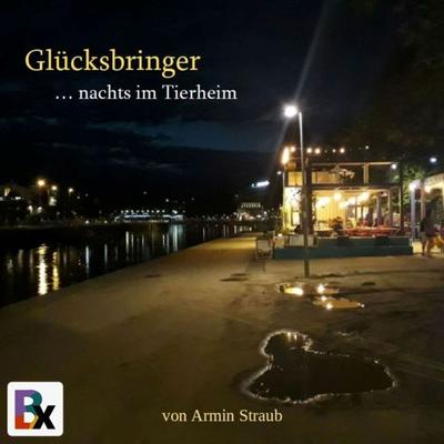 Glücksbringer - Armin Straub, Audio, 9783755428312