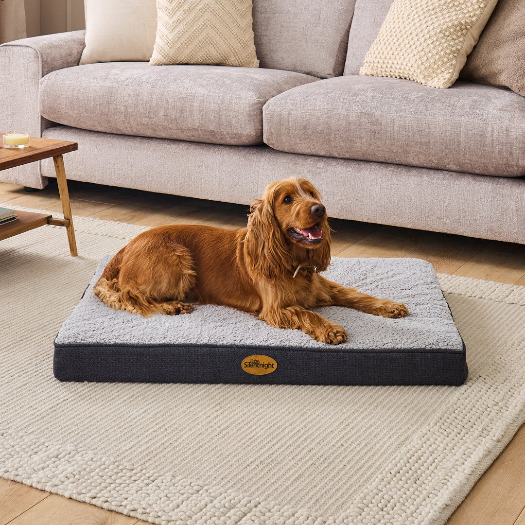 Silentnight Firm Support Crate Mattress Pet Bed Beige XL 7.6cm H x 112cm W x 81cm D