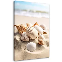 LEINWANDBILD Muscheln Strand Natur beige 70x100cm