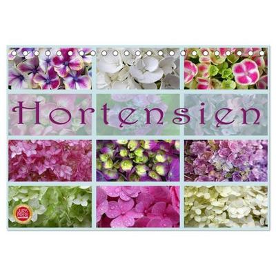 Hortensien / Geburtstagskalender (Tischkalender 2026 DIN A5 quer), CALVENDO Monatskalender