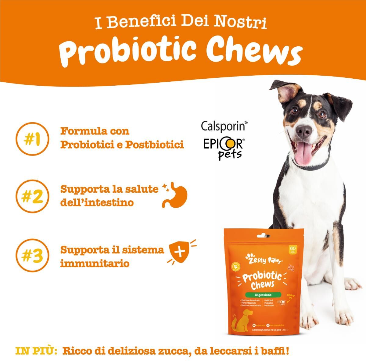 Zesty Paws Probiotico Chews Digestione Cane Alimento Complementare 60 COMPRESSE