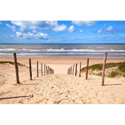 Fototapete PAPERMOON "Weg zum Sandstrand", bunt, B:2,5m L:1,86m, Vlies, Tapeten