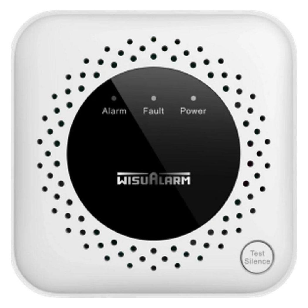 Dahua HY-GA40A gas detector Methane (HY-GA40A)