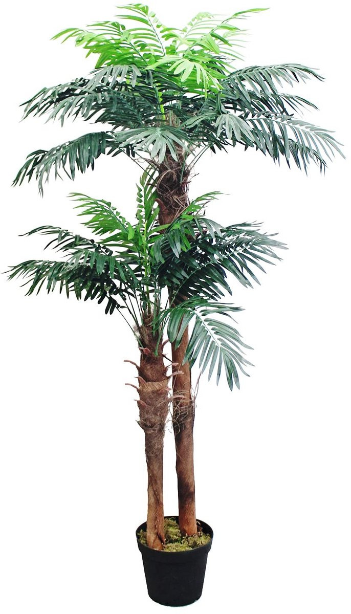 Dailygoods Kunstpalm 170 cm Hoog - Realistische Kokospalm voor Binnen en Buiten