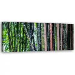 WANDBILD bambus stämme