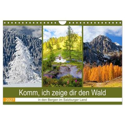 Komm, ich zeige dir den Wald (Wandkalender 2027 DIN A4 quer), CALVENDO Monatskalender