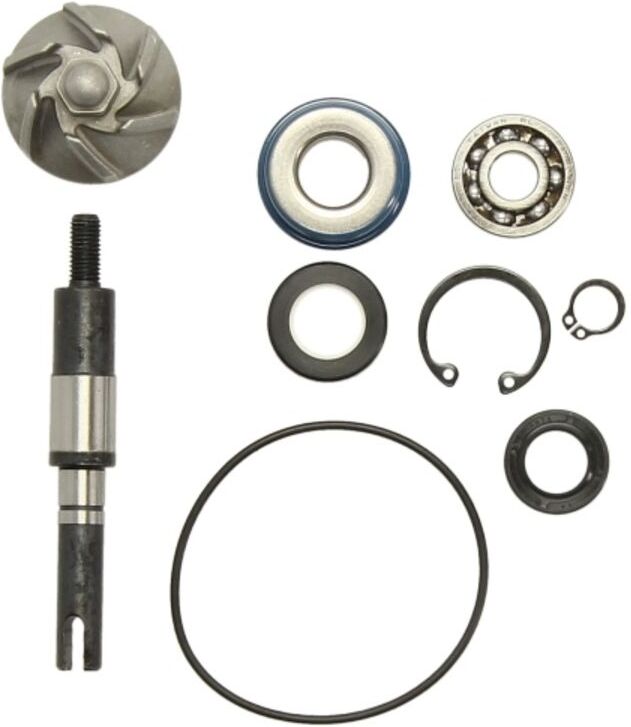 Reparatursatz, Wasserpumpe RMS 10 011 0190
