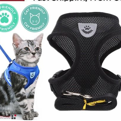 The Cart Load Adjustable Cat Dog Harness, Reflective Control Vest, Leash For Dogs, Pet Safety black l
