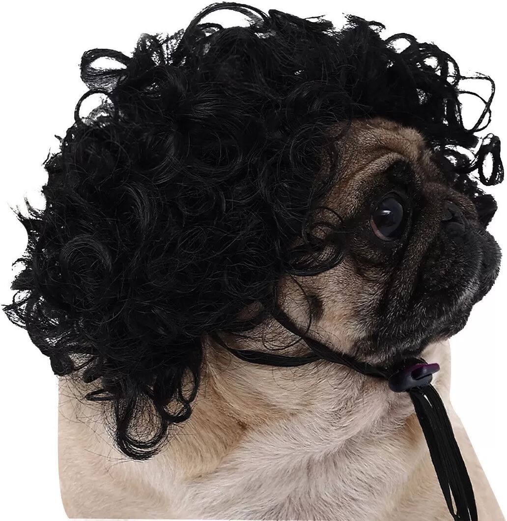 INF Perruque Afro Noire pour Chien - Accessoire Cosplay Amusant et Tendance