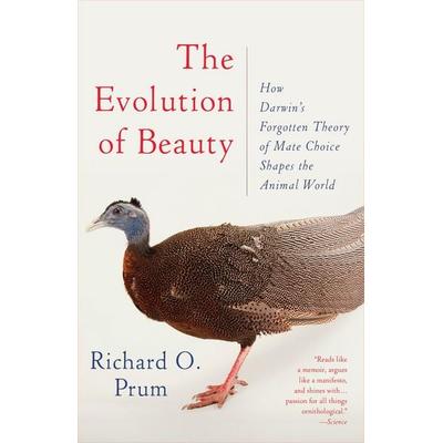 Evolution of Beauty, Taschenbuch von Richard O. Prum, KNV Besorgung, 978-0-345-80457-0