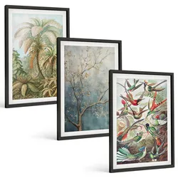 BILDER SET 3er Set - 40x60 cm Schwarzer Rahmen - Tropische Pflanzen, Vögel, Natur
