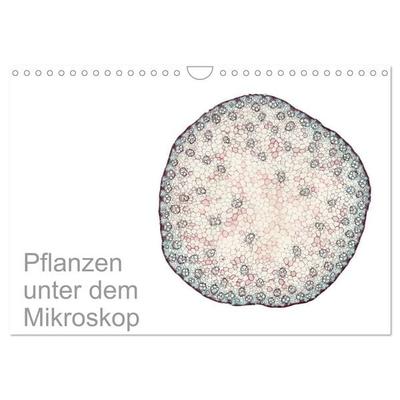 Pflanzen unter dem Mikroskop (Wandkalender 2026 DIN A4 quer), CALVENDO Monatskalender