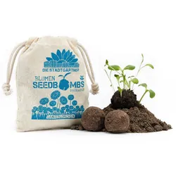 Samenbomben Gänseblümchen 8er-Set - Einfach Blumen pflanzen Garten Balkon Geschenk - Naturmaterialien handgemacht Wuchshöhe 10cm
