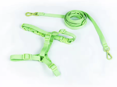 Inspire Picks Macaron Dual Head Pet Harness & Leash Set Adjustable Vest For Small & Medium Dogs green m