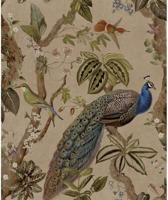 Holden Cassia Peacock Non-Pasted Wallpaper - Covers 56 Square Feet