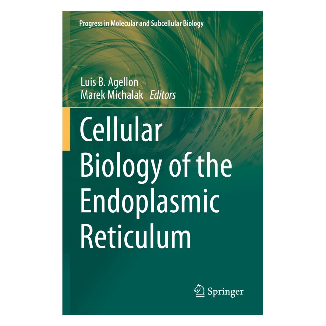Springer Cellular Biology of the Endoplasmic Reticulum (Englisch, Softcover, Luis B. Agellon, Marek Michalak) (56849700)