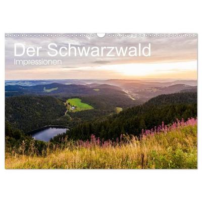 Der Schwarzwald Impressionen (Wandkalender 2027 DIN A3 quer), CALVENDO Monatskalender