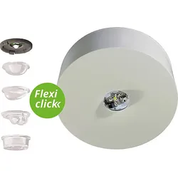 RP-Group Sicherheitsleuchte ZB ILDL029ML