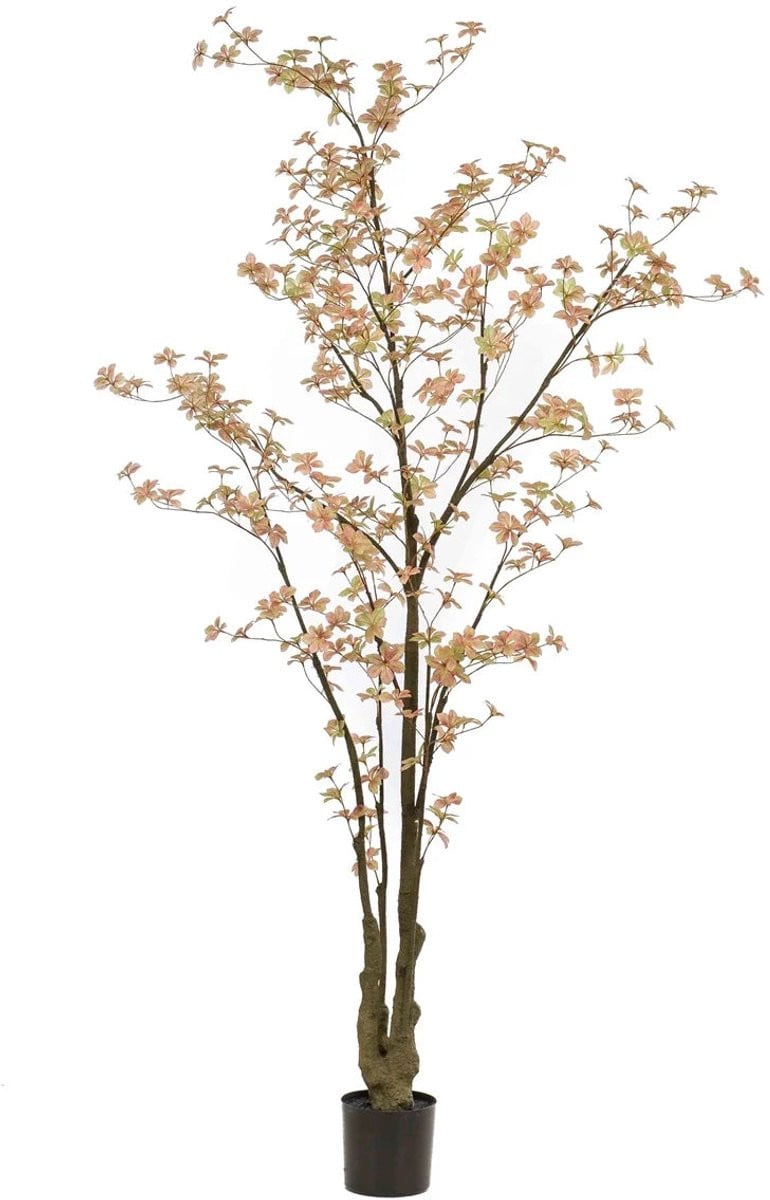 Emerald Kunstboom Tropaeolum Peach 245cm - Kunstplant voor binnen - Oost Indische kers