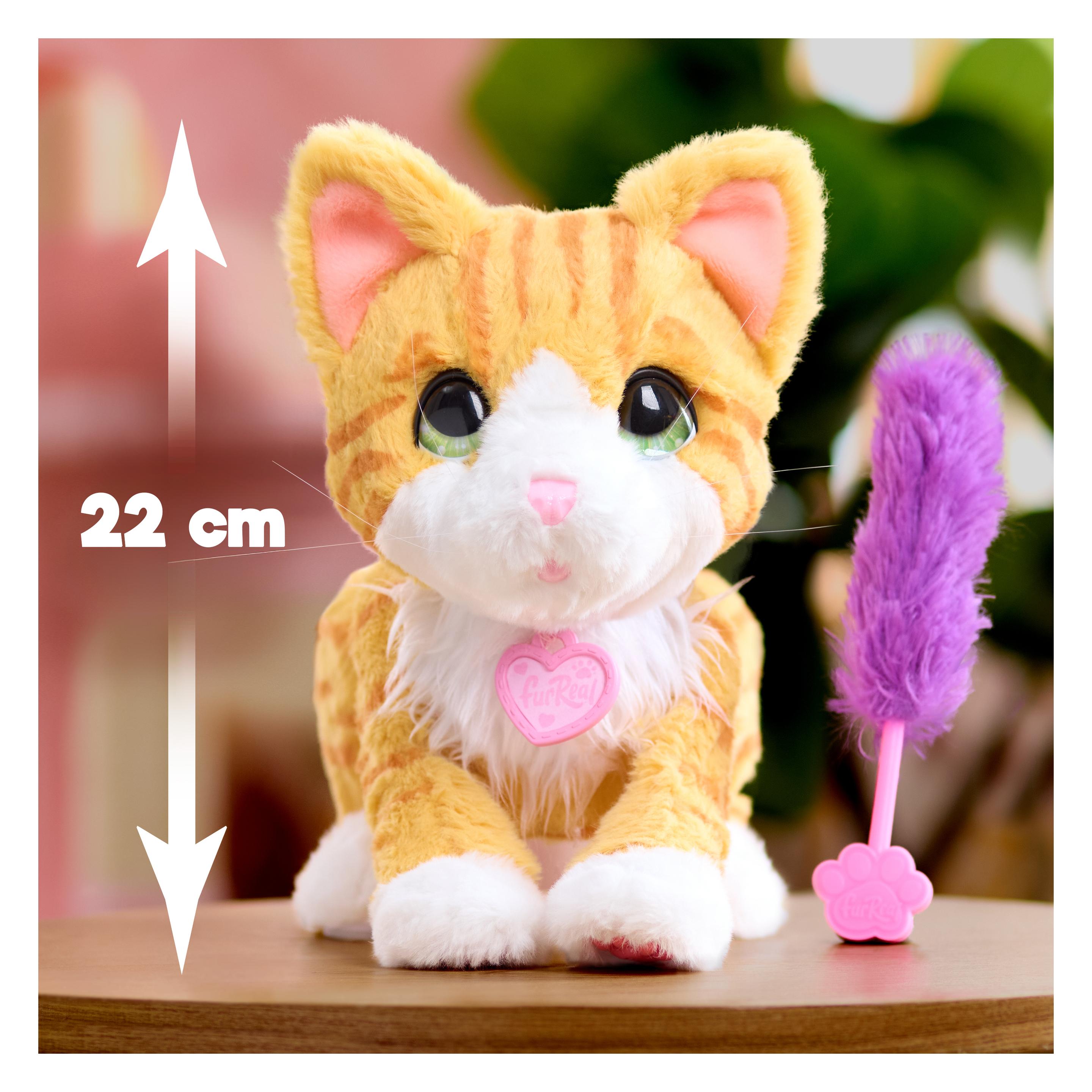 Just Play FurReal Bella the Biscuit Making Kitty (18.20 cm) (28141-000-1A-002-OPB)