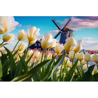 Fototapete PAPERMOON "Landschaft mit Bergen", bunt, B:2m L:1,49m, Vlies, Tapeten
